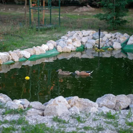 בית חווה Quinta Da Sofia